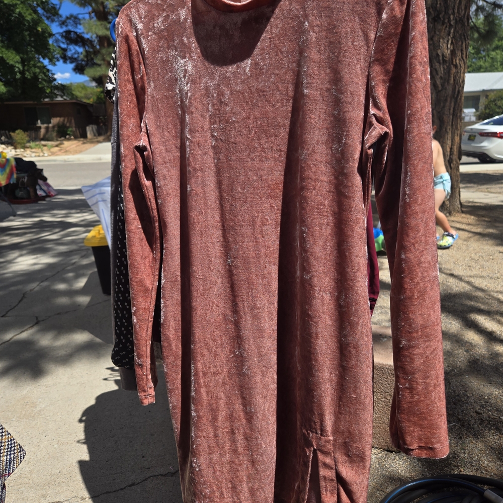 Forever 21 Velvet Long Sleeve Dress in Rust